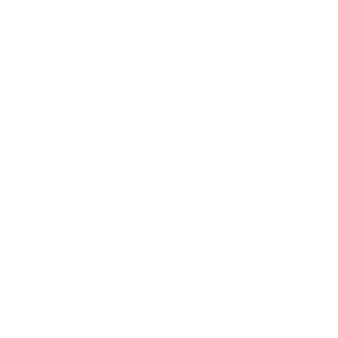 PENGEMBANGAN WEBSITE Icon
